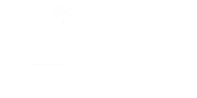V5 Server